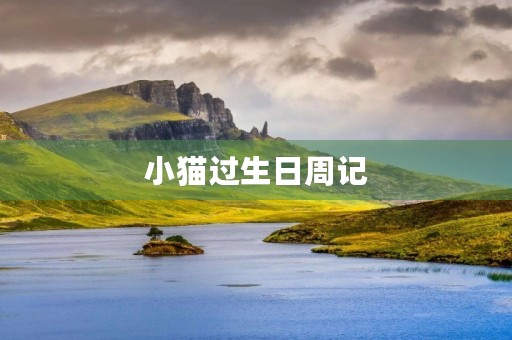 小猫过生日周记