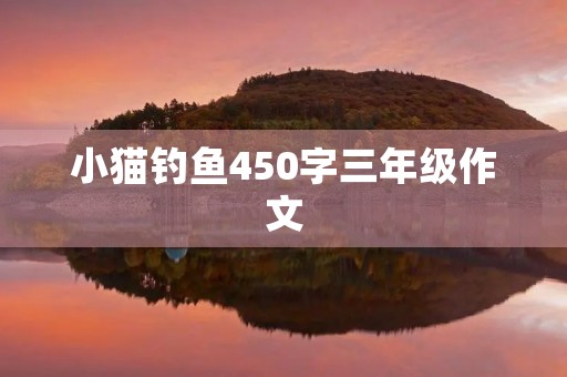 小猫钓鱼450字三年级作文