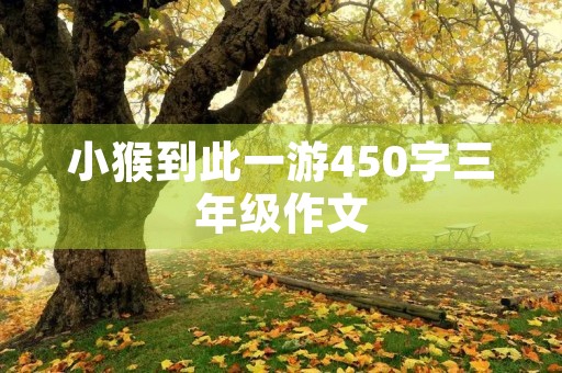 小猴到此一游450字三年级作文