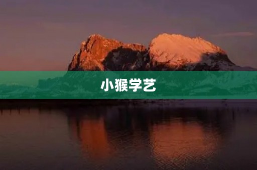 小猴学艺