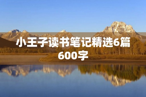 小王子读书笔记精选6篇600字 小王子读书笔记精选6篇600字