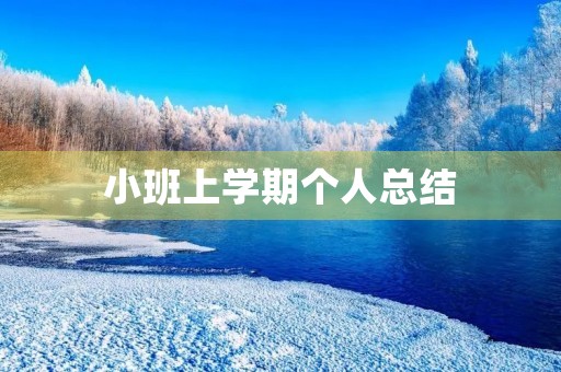 小班上学期个人总结