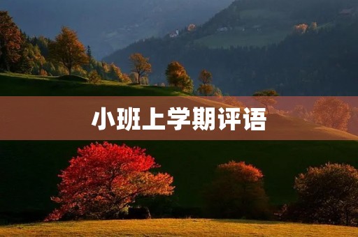 小班上学期评语