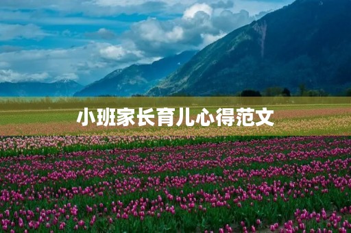 小班家长育儿心得范文