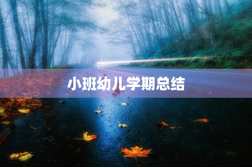 小班幼儿学期总结