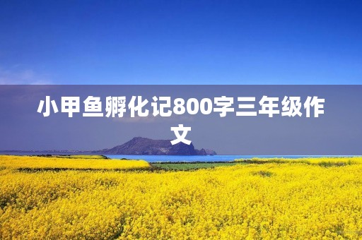 小甲鱼孵化记800字三年级作文 小甲鱼孵化记800字三年级作文