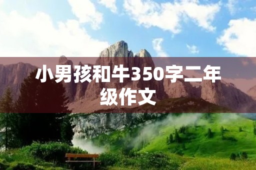 小男孩和牛350字二年级作文