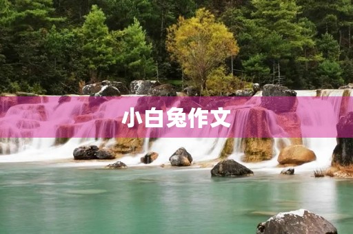 小白兔作文