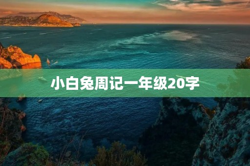 小白兔周记一年级20字