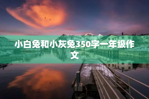 小白兔和小灰兔350字一年级作文