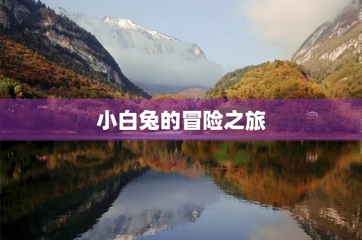 小白兔的冒险之旅