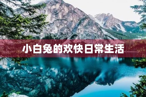 小白兔的欢快日常生活 小白兔的欢快日常生活