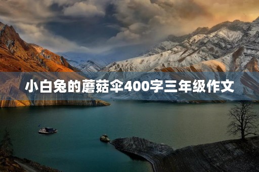 小白兔的蘑菇伞400字三年级作文