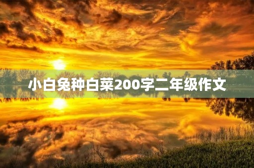 小白兔种白菜200字二年级作文