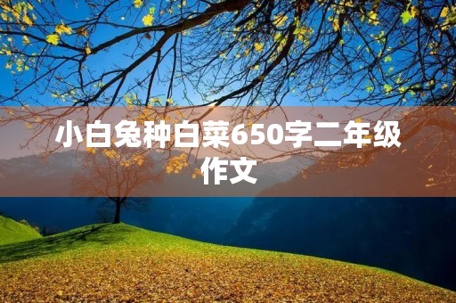 小白兔种白菜650字二年级作文