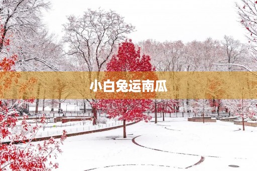 小白兔运南瓜