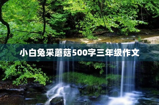 小白兔采蘑菇500字三年级作文 小白兔采蘑菇500字三年级作文