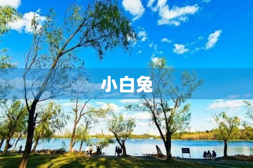 小白兔，可爱的萌宠