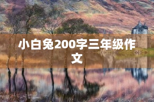 小白兔200字三年级作文