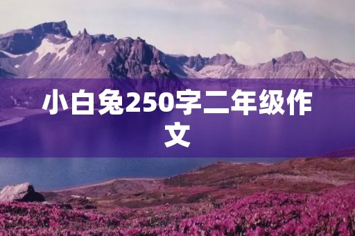 小白兔250字二年级作文 小白兔250字二年级作文