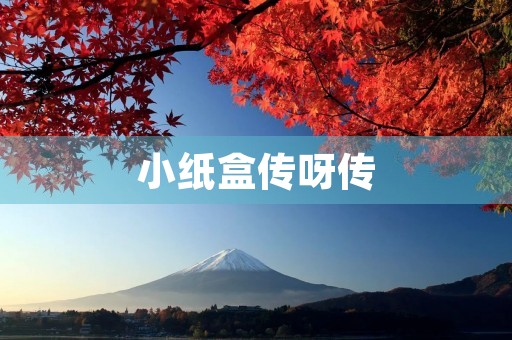 小纸盒传呀传 小纸盒传呀传