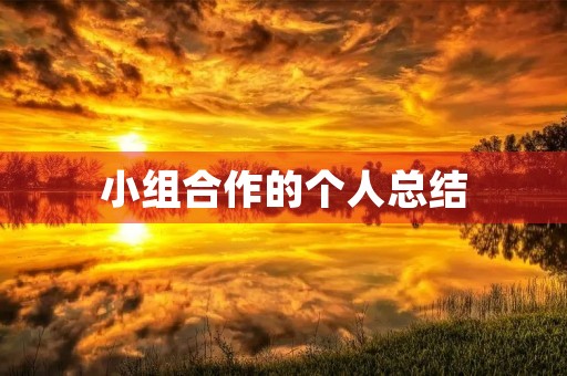 小组合作的个人总结