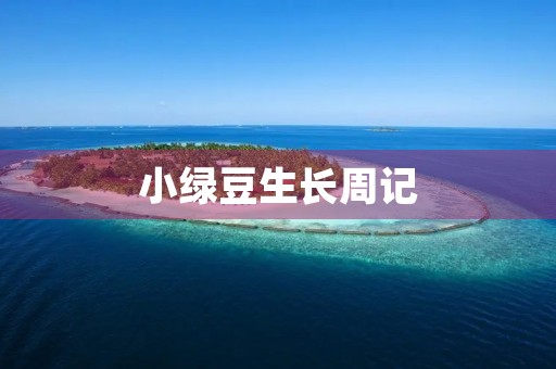 小绿豆生长周记 小绿豆生长周记
