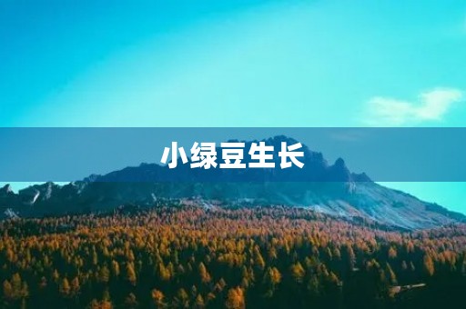 小绿豆生长 小绿豆生长