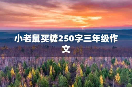 小老鼠买糖250字三年级作文