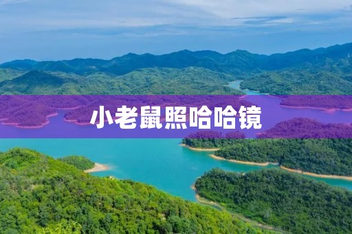小老鼠照哈哈镜