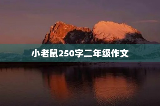 小老鼠250字二年级作文