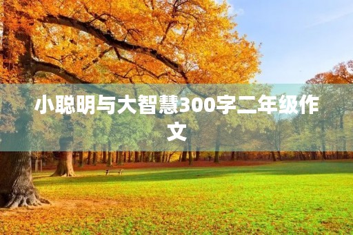 小聪明与大智慧300字二年级作文