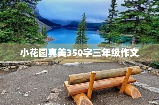 小花园真美350字三年级作文 小花园真美350字三年级作文