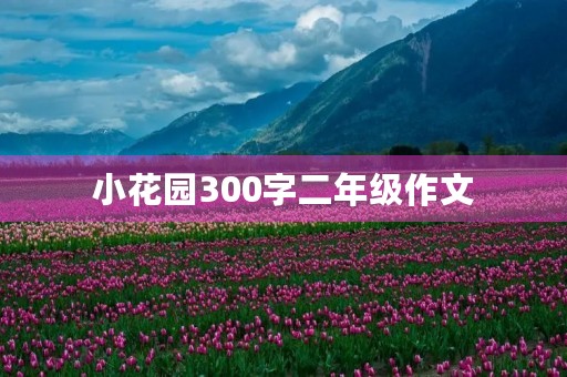 小花园300字二年级作文