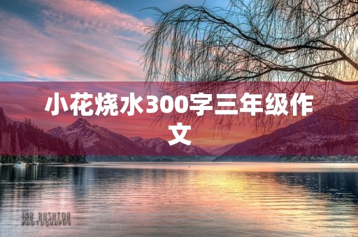 小花烧水300字三年级作文