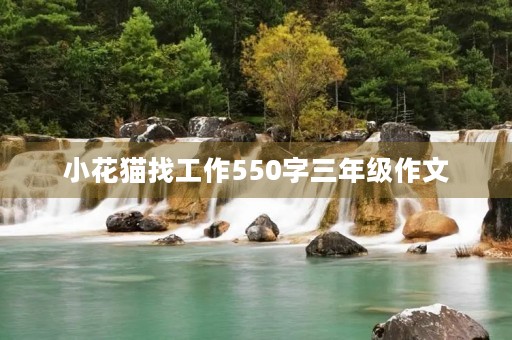 小花猫找工作550字三年级作文