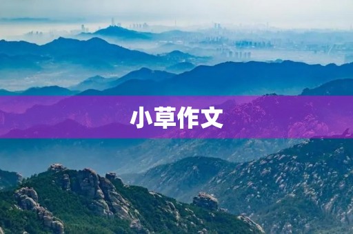 小草作文 小草作文