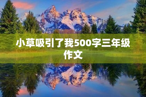 小草吸引了我500字三年级作文 小草吸引了我500字三年级作文