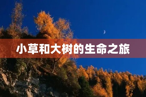 小草和大树的生命之旅