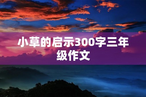 小草的启示300字三年级作文