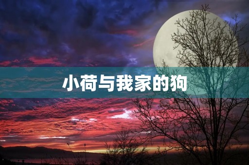 小荷与我家的狗 小荷与我家的狗