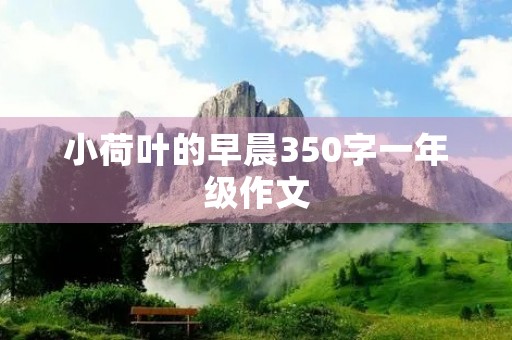 小荷叶的早晨350字一年级作文