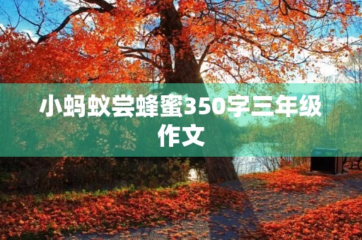 小蚂蚁尝蜂蜜350字三年级作文