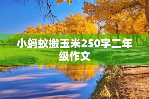 小蚂蚁搬玉米250字二年级作文