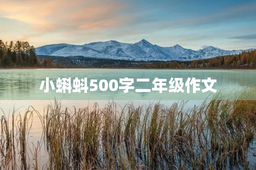 小蝌蚪500字二年级作文