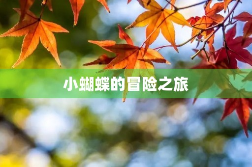 小蝴蝶的冒险之旅 小蝴蝶的冒险之旅