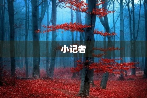 小记者 小记者