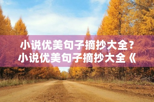 小说优美句子摘抄大全？小说优美句子摘抄大全《难哄》