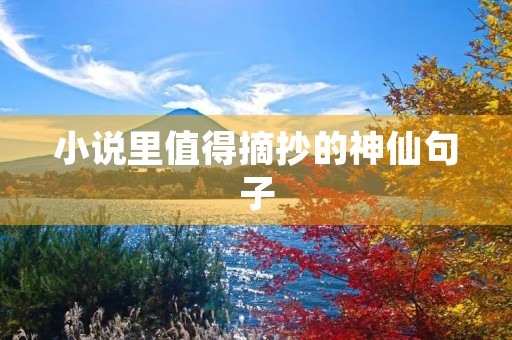 小说里值得摘抄的神仙句子