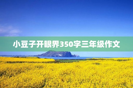 小豆子开眼界350字三年级作文